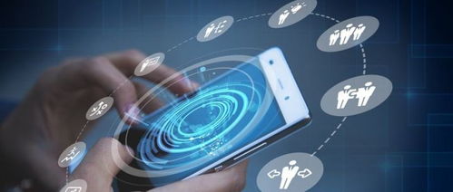 破解数字化转型之困 三彩家SaaS如何以技术咨询赋能生活服务行业